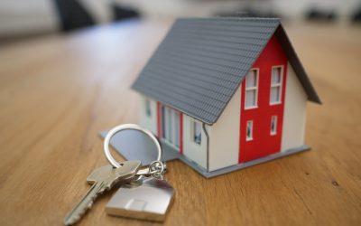 Immobilier : pensez à la création d&rsquo;une SCI