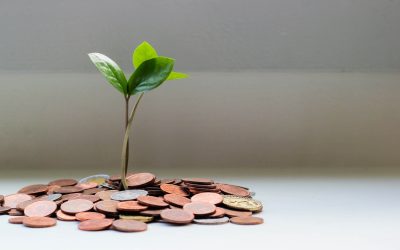 Donation exonérée à ses petits-enfants : c&rsquo;est possible !