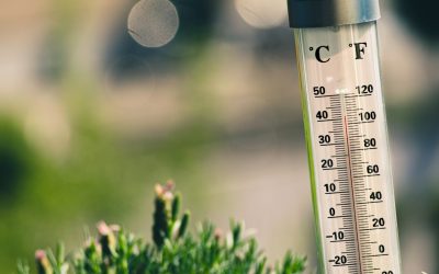 Canicule : quelles sont les règles au travail ?